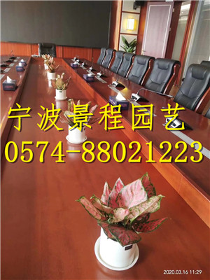案例